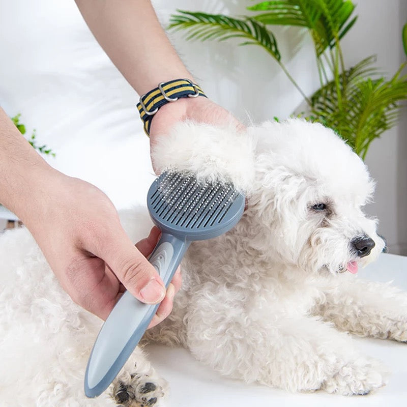 Cat Dog Grooming Brush