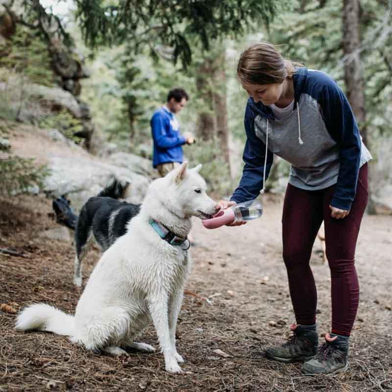 Doggy Portable Drinking Water Bottle