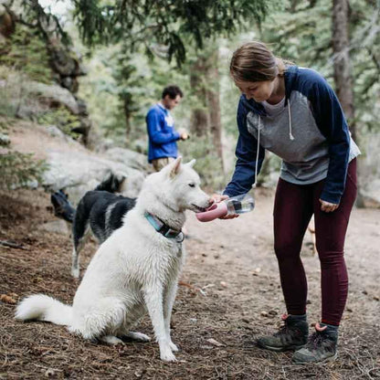 Doggy Portable Drinking Water Bottle