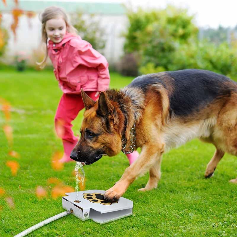 Dog outdoor water dispenser