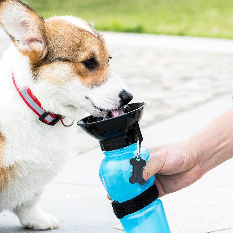 Doggy Portable Drinking Water Bottle